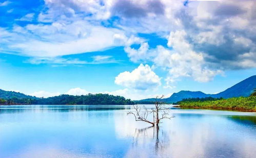 老子 復(fù)歸正道,萬(wàn)事方清,事事方順