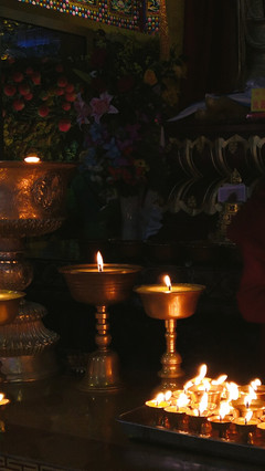 秋山無(wú)樹(shù)故崚嶒,幾度支筇未忍登。 荒路行愁逢牧馬,舊交老漸變高僧。 鐘樓自吼南朝寺,佛塔還燃半夜燈。 莫向雨花臺(tái)北望,寒云黯淡是鐘陵。