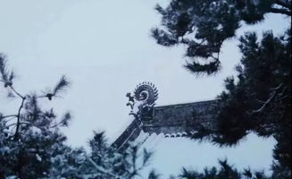 大雪 雪多了韻味,冬便有了詩(shī)意