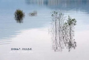 就在成都周邊,這個(gè)小城竟私藏著小柬埔寨 湖泊 古鎮(zhèn)和雪山,景色絕美