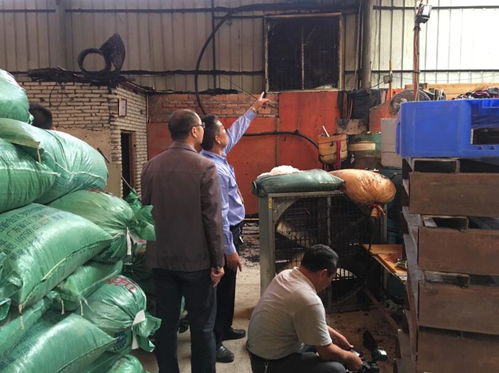 三水區人民政府